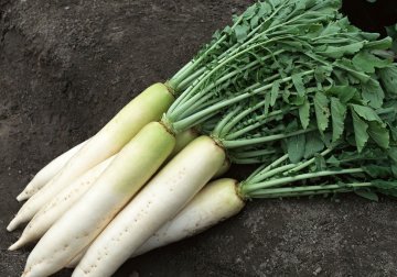 长寿必吃的十大食物