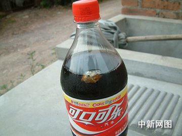 可口可乐惊现异物后续：假可乐在农村真的很泛滥？