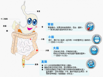肛肠的“喜怒哀乐”应引起重视