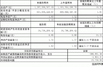 江中药业股份有限公司2005年第一季度报告（节录）