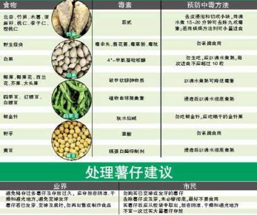 香港公布20多种食用植物含毒素