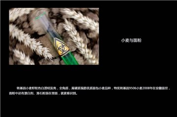 如何分辨转基因食品