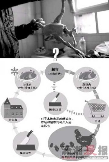 市民超市买到四条腿鸡 专家称不会危害健康