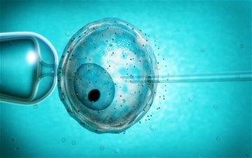 英国或批准“三父母婴儿”基因技术引争论