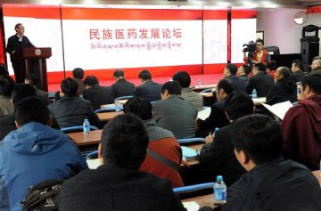 民族医学发展论坛在京举行