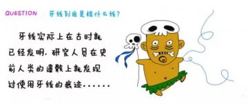 牙齿的“大内侍卫”
