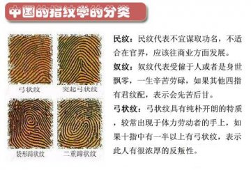 图说：从指纹看你的身体健康和性格