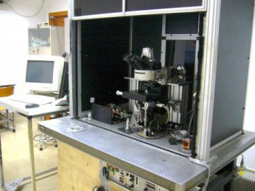 复旦大学单粒子微束亚细胞精确辐照装置建设成功