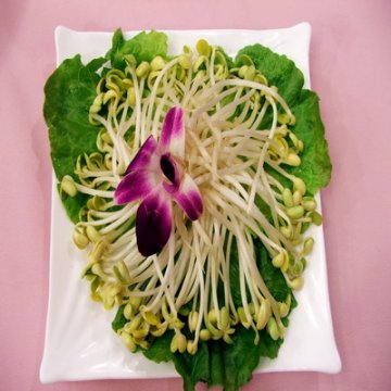吃14种家常食物易中毒身亡 看看你常吃吗？