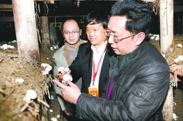 王泽生：“分子眼”引航现代蘑菇产业