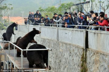 记者围观