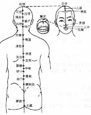 督脉图谱