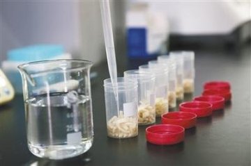 北京面食检测未见甲醛面条 过于筋道需警惕
