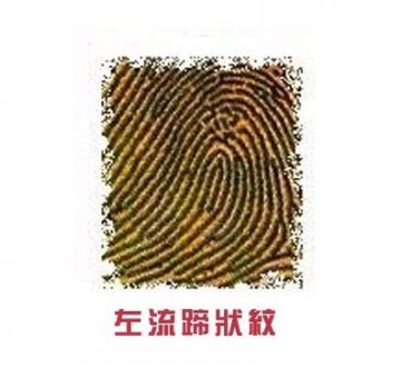 右手食指透露你的爱情秘密