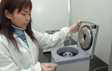 实拍：DNA亲子鉴定全过程