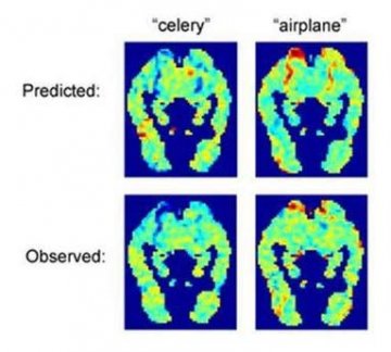 科学家训电脑“读”人脑 有望攻克认知障碍
