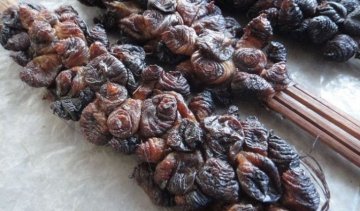 你无法想象的非洲食物