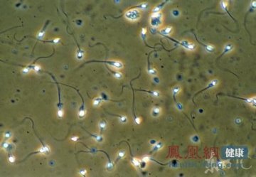 精子变黄吓跑女友 精液颜色变化就有病？