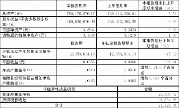 河南竹林众生制药股份有限公司2005第一季度报告（节录）