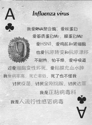北医学生创制凡客体微生物扑克牌引发网友热捧