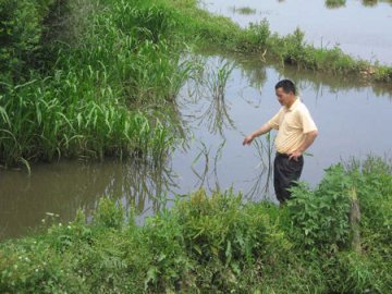 牛粪水愁煞村民 10余孩染皮肤病
