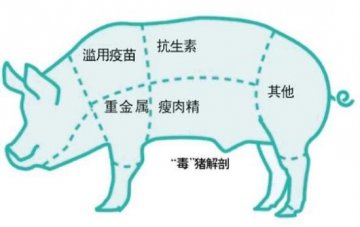 部分养殖户给生猪喂重金属使其皮毛发亮