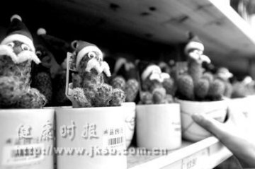 仙人掌：墨西哥“仙桃”