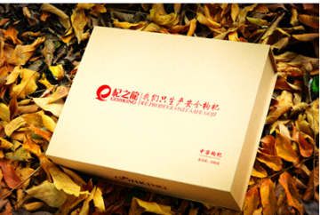 2015春节送礼送什么给父母好