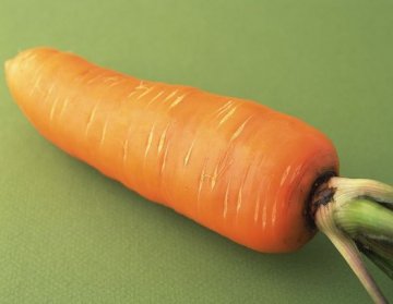 饮食养生：盘点十种抗衰老功效最强的食物