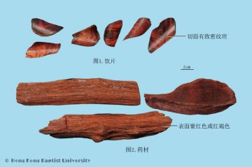 降香（Jiangxiang）中药材鉴别照片