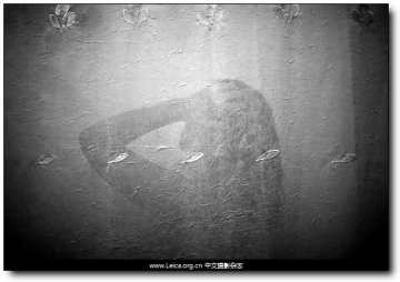 摄影师跟拍一美国女孩从亲热到生子全过程