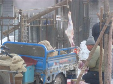 当街宰售活驴活羊太血腥 专家：易带病菌莫购买