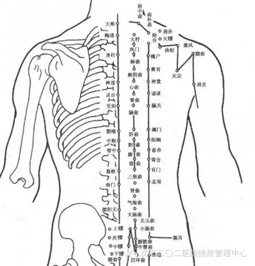肩颈补养防百病