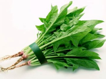 专家推荐7种食物 让你轻松变长寿体质