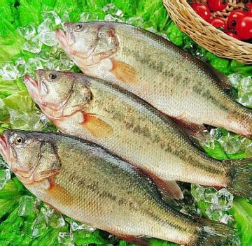冬季7种“状元”美食吃法