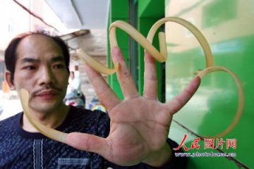 福建男子蓄甲15年指甲总长97厘米