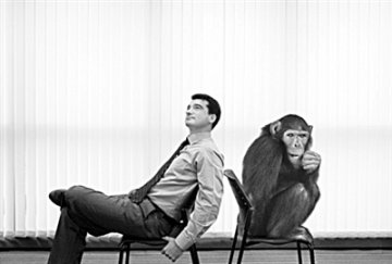人类进化谜团：我们为什么是人而非黑猩猩？