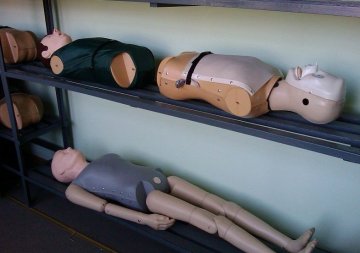 揭秘医用人体模型制作全过程