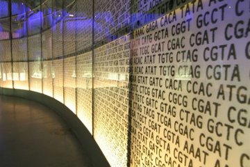 DNA芯片数据存储破纪录