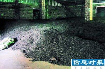 猪圈发酵“古董”普洱茶 地面满是蛆虫