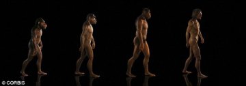科学家认为2050年将进化出新人种