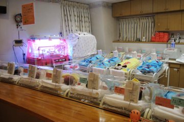 育婴室里，宝宝们安静地躺在透明的“小箱子”里