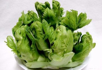 这13种菜天生有毒！
