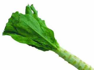 9种暗藏细菌最多的食物