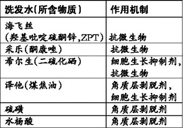 了解头屑 还你秀发飘飘