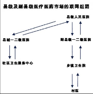 县级医疗市场联网组团