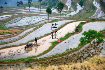 图说二十四节气 美到令人窒息