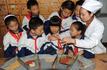学习中医知识 体验中医文化