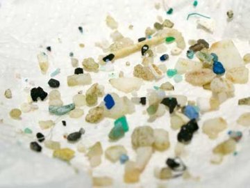 海洋塑料垃圾颗粒数量超预想并不断在海底扩张