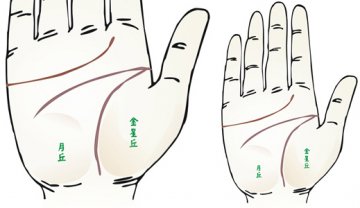 24种手相揭示疾病征兆